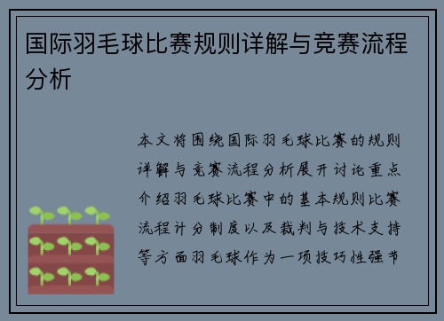 国际羽毛球比赛规则详解与竞赛流程分析